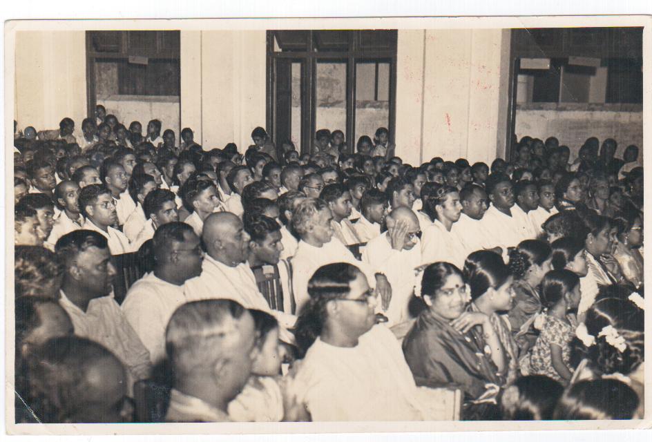 gallery picture